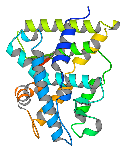 HNF4alpha by Bogan et al.