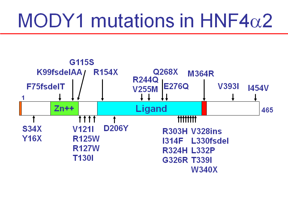HNF4-fig7-mody1-mutations